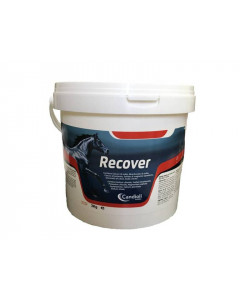 RECOVER REIDRATANTE FUSTINO 3KG