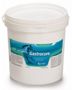 GASTROCURE SECCHIELLO 2,6 KG