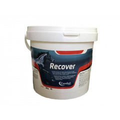 RECOVER REIDRATANTE FUSTINO 3KG