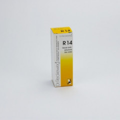 RECKEWEG R14 GOCCE 22ML