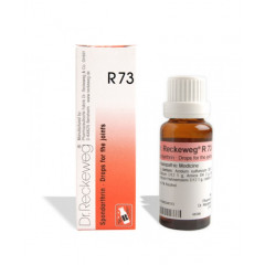 RECKEWEG R73 GOCCE 22ML