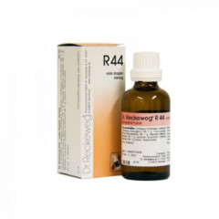 RECKEWEG R44 GOCCE 22 ML