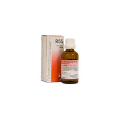 RECKEWEG R55 GOCCE 22 ML