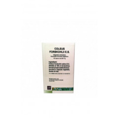 COLEUS FORSKOHLII ESTRATTO SECCO 30 CAPSULE