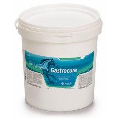 GASTROCURE SECCHIELLO 2,6 KG