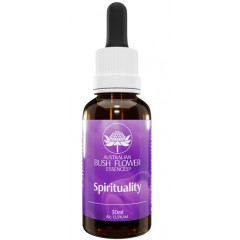 SPIRITUALITY ESS 30ML GTT 2