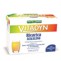 VITADYN RICARICA ALKALIN 14 BUSTINE