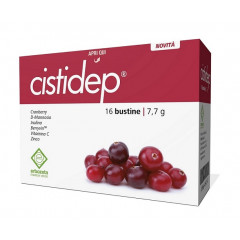 CISTIDEP 16 BUSTINE