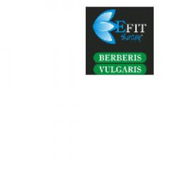 BERBERIS VULGARIS ESTRATTO SECCO TITOLATO 98% 500 G