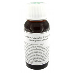 LVS 20N CARPINUS BETULUS COMPOSITUM