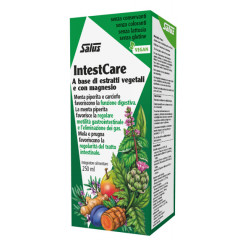 INTESTCARE 250 ML
