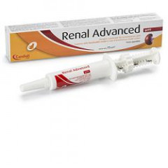 RENAL ADVANCED GATTI PASTA SIRINGA 15 ML