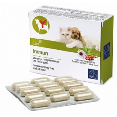 IMMUN 60 COMPRESSE