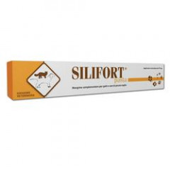 SILIFORT PASTA OS SIRINGA 15G