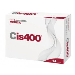 CIS400 14 BUSTINE