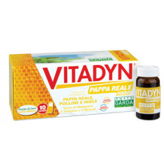 VITADYN PAPPA REALE 1000 10 FLACONCINI 10 ML