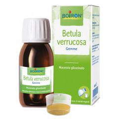 BETULA VERRUCO MACERATO GLICERICO 60 ML INT 2