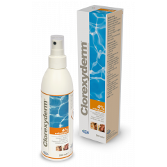 CLOREXYDERM SOLUZIONE 4% 200 ML